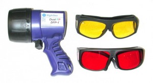 Fluorescent protein flashlight and glasses