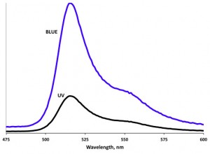 Representative fluorescence emission spectra for a coral illuminated with equal energies of blue and UV light.