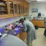 SFA in a biology teaching lab