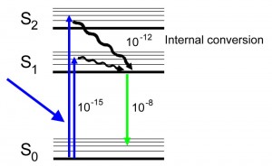 Jablonski diagram for fluorescence