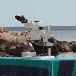 Stereo microscope set up on the beach, with the NIGHTSEA Stereo Microscope Fluorescence Adapter powered by a battery