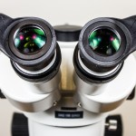 Microscope eye shields - folded up