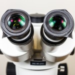 Microscope eye shields - folded down