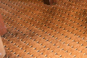 Carpet in hotel room