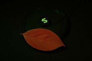 Exposure 1/200 sec (c) Charles Mazel