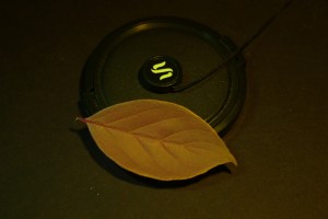 Exposure 1/60 sec (c) Charles Mazel