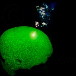 Diver and fluorescing coral head (c) Barry Brown