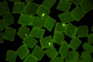 Fluorescing gel defects in nylon granules