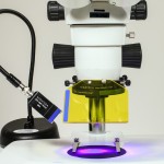 Fluorescence Adapter installed on a conventional stereomicroscope