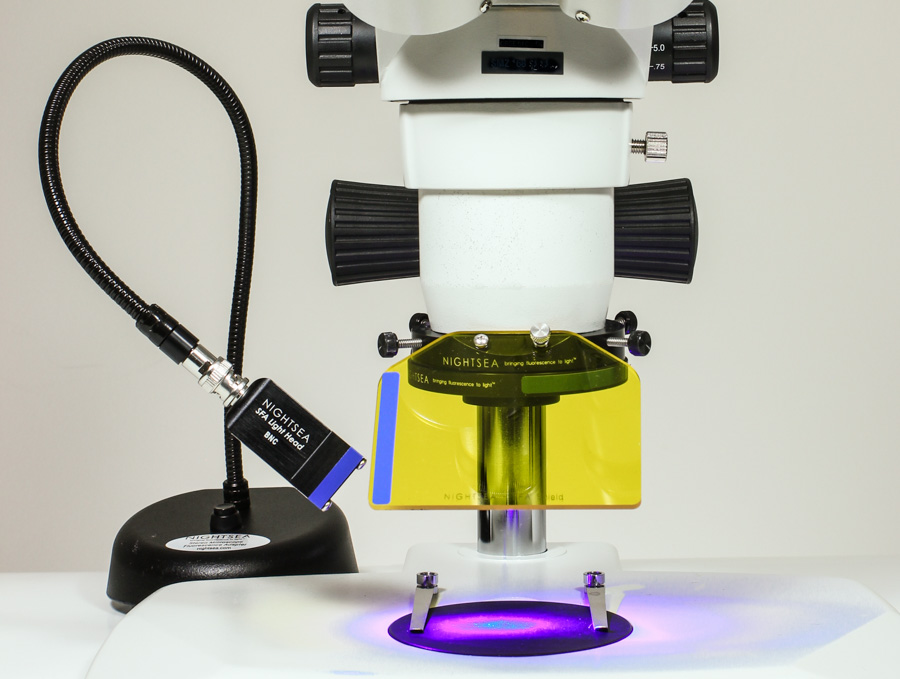 Fluorescence Adapter installed on a conventional stereomicroscope