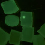 Unitron Z850 – nylon granules, fluorescence