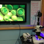 SFA with microscope/camera for teaching