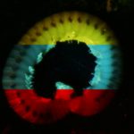 Common millipede (class Diplopoda) combined picture, fluorescing (from top to bottom) under blue, longwave UV, then green light