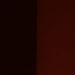 Fly pad fluorescence - Green excitation