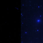 Fly pad fluorescence - Ultraviolet excitation