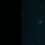 Fly pad fluorescence - Violet excitation