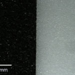 Fly pads, white light