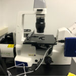 Microscope side view
