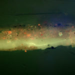 Paint chip cross section, fluorescence, Royal Blue. #1923.60.