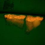 Paint chip cross section, fluorescence, Cyan. #1939.111.