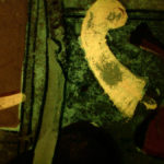 Detail of 17th century Indian painting, ambient light plus fluorescence. #2006.262