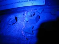 Blue light, no filter