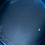 Filter bowl, water after 3 washloads