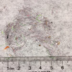 Collected fibers, detail