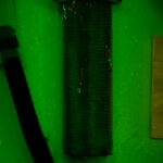 Lint LUV-R filter detail, Royal Blue fluorescence