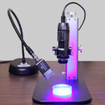 NIGHTSEA/Dino-Lite combo for C. elegans