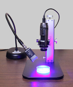 NIGHTSEA/Dino-Lite combo for C. elegans