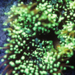 PB0009Fb - See below for more about this shot and the one before