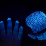 Hand and python skin, UV light