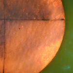Quadrant 3 fluorescence after applying Nile red
