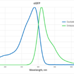 GFP spectra excitation and emission